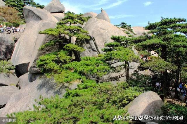 陆机才多岂自保:《滕王阁序》中“请洒潘江，各倾陆海云尔”潘江陆海各指什么？