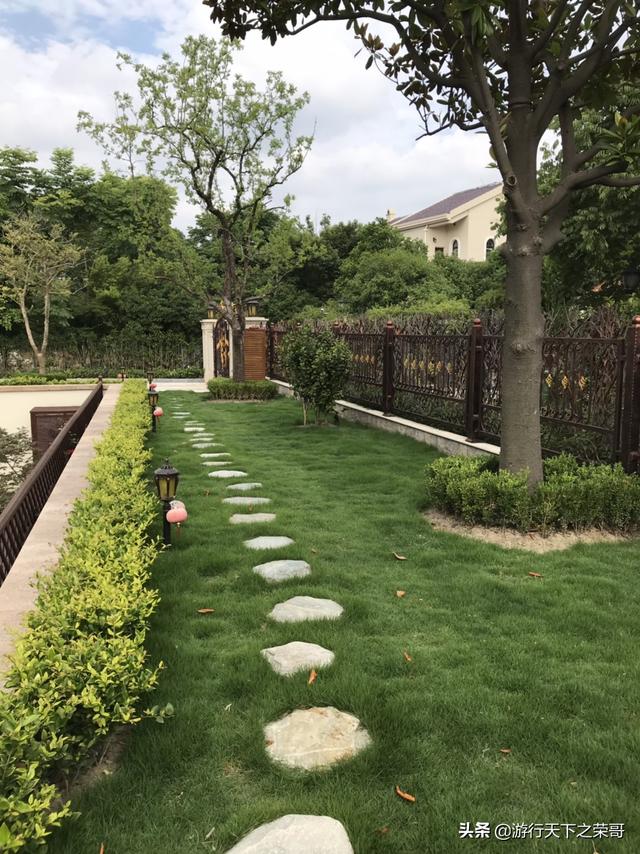 怎么做院子围墙又便宜又好看？插图36