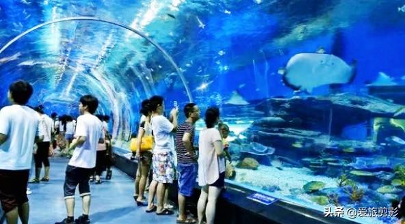 泰迪熊在线观看:怎么陪两到三周岁的孩子玩？ 泰迪熊在线观看电影