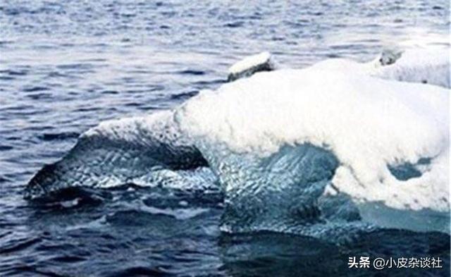 南极真的有哥斯拉吗，哥斯拉存在吗1958年船员们看到的巨型生物，又该如何解释