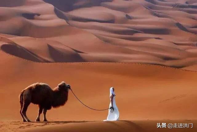 一只黑猫的自闭症最新章节列表:有哪些可称为“冷门神作”的网络小说？