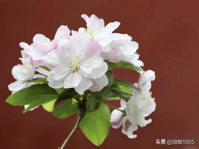 跟了他四年,今天发现他有了新欢,我该离开还是抢回来？