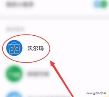 如何才能批量获得沃尔玛Walmart买家账号？，怎样在沃尔玛小程序查看订单？