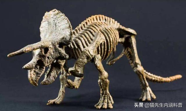 三眼恐龙虾:恐龙之说可信吗当时不是也有其它动物吗怎么没有化石
