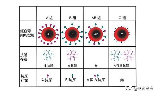 ab型血为什么叫变态，为什么有些人叫B型血是贵族血