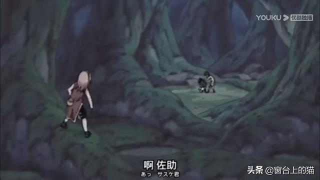 监考猫:中忍考试期间春野樱是最弱的吗？