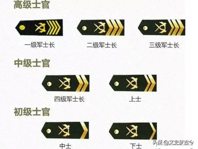 士兵突击许三多:士兵突击里面的许三多如果不退伍，最高能升到什么级别？