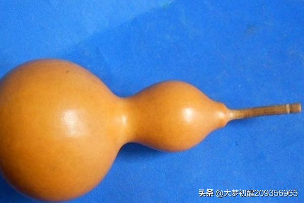 盘葫芦,什么时候盘葫芦的最佳季节？