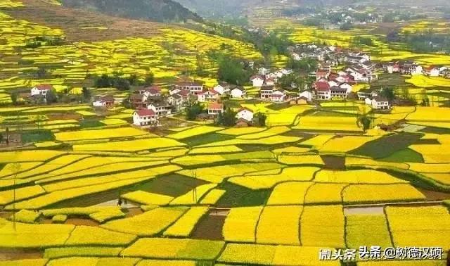朋友们，今天是腊八节，您喜欢吃传统的“腊八饭”吗如何评价