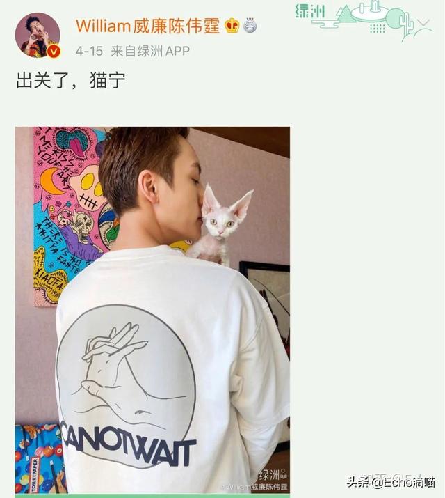 德文卷毛猫柯尼斯:猫到了掉毛季怎么处理，怎样可以让它不掉毛？