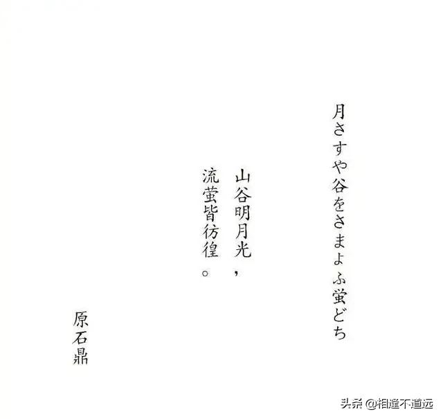 头条问答 日本有哪些隽永的俳句 21个回答