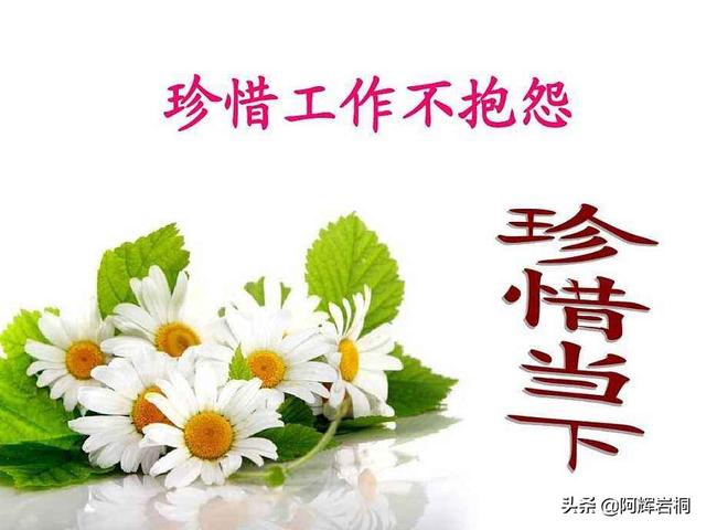 我真没想当训练家啊:那些没能出道的练习生哪去了？