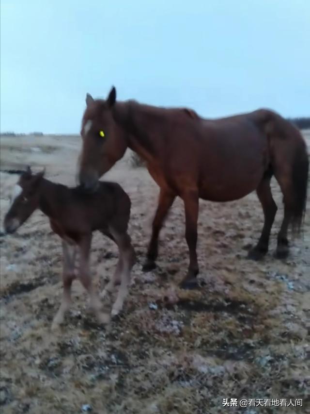 养玉三年玉养人一生是哪种玉,男护心养心适合带什么玉？
