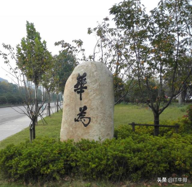 任正非说华为没有996工作制和007加班,大家怎么看？你们信吗？