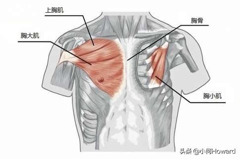 男性锻炼方法,男性应该做什么锻炼身体？