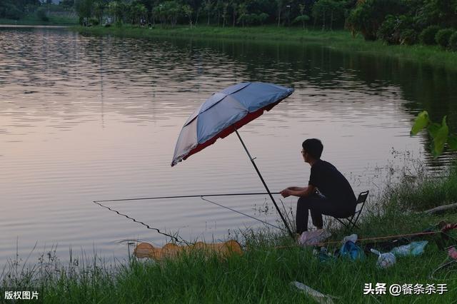 渔猫 抓鱼:在农村鱼塘的大鱼被全部清理之后，我去摸里面的小鱼算不算偷呢？