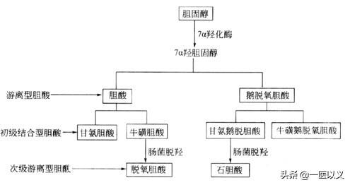 体检发现胆囊结石，不处理的话，以后会怎么样