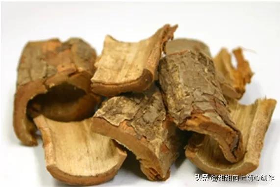 榆树皮真的可以磨面吃吗，从前农村榆树皮怎么制作榆面现在还有会制作的吗