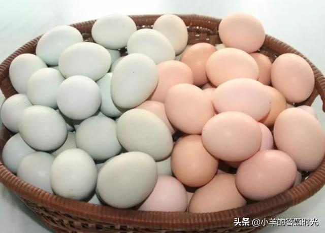 绿皮鸡蛋是什么品种鸡，为什么有的鸡蛋是绿色的，绿色鸡蛋是什么品种？