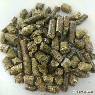 一条反刍的狗 下载:狗明明鼻子那么灵，为什么翻垃圾或者吃粑粑不会觉得受不了？