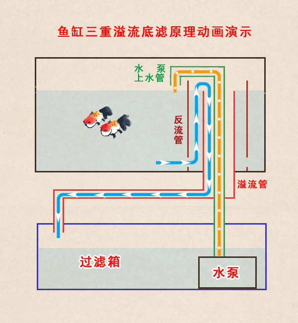 陆佳璐:国产鱼缸潜水泵哪个牌子最好