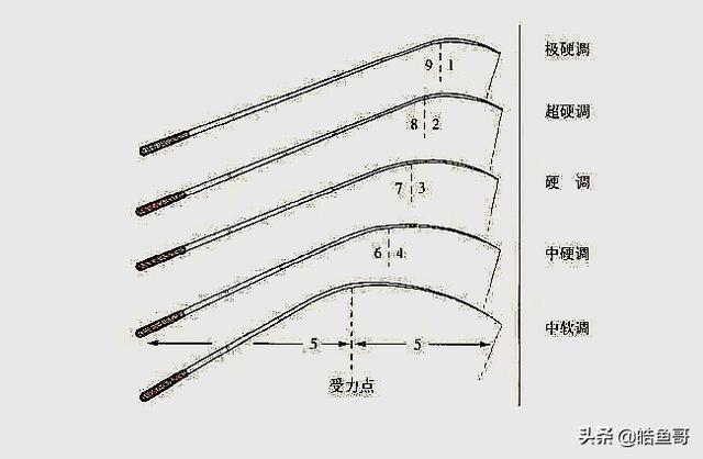 19调、28调和37调的鱼竿有什么区别？