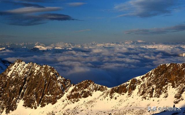 宝石的形成过程,琥珀的形成过程是怎样的？琥珀如何形成的？