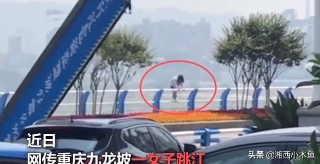 重庆猫坚强:网传重庆一女子因宝马加价跳江，4S店大喊冤枉，怎么回事？