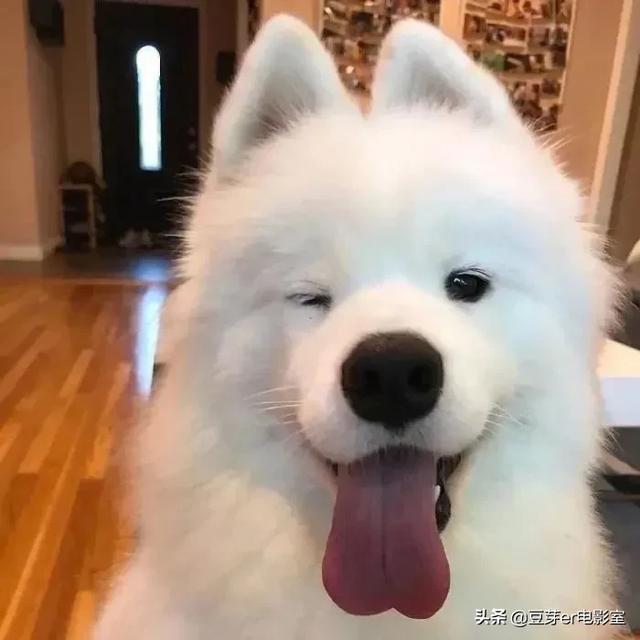林丽莹个人资料:真正的爱情只有一阵儿爱一个人不可能长久，对吗