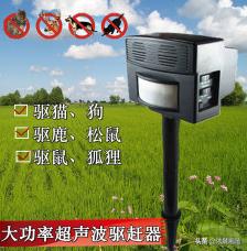 超声波驱狗器:鸽子窝傍边能安装超声波驱猫器吗？
