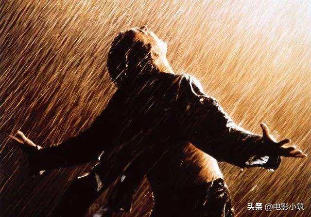 请问你喜欢的电影有哪几个？怎么样？