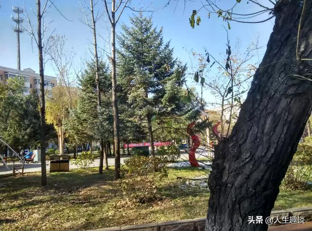 为什么感觉现在人的感情好像越来越廉价了？