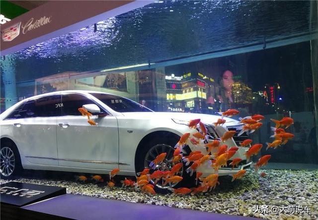 买凯迪拉克后悔多还是买奥迪后悔的多？插图48