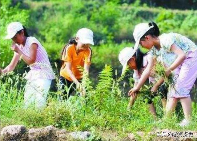 暑假如何教导孩子-如何教导自己的孩子