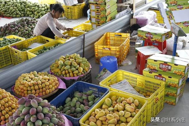 农特微商万人创业孵化平台，农民想卖东西怎么才能找到买家