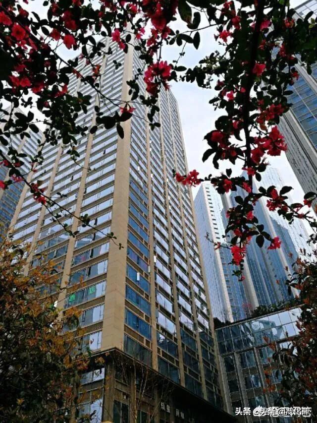 五个月孩子突然死亡:儿子意外去世，感觉愧对孩子，天天以泪洗面，该怎么走出去？