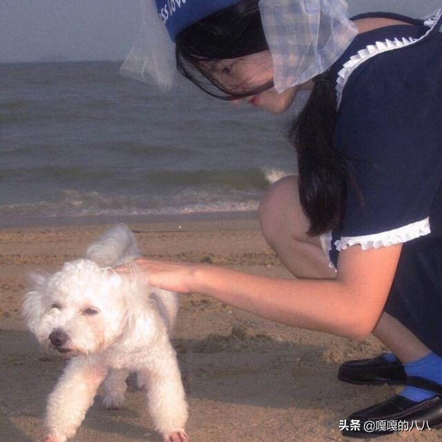 自制狗零食鸡肉干:如何为狗狗选择健康零食？