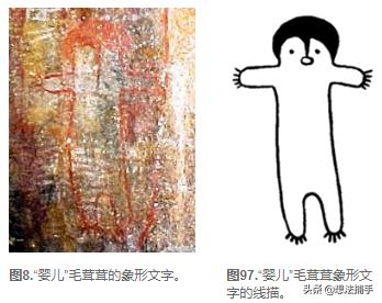 茂密森林灵异事件后续:神秘动物在哪里？大脚怪真的存在吗？