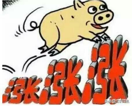 我们对今后养猪大盘趋势怎么看?那时适宜出栏吗?黄牛和水牛两者相比,养殖业哪两个前景更好?(图1) 我们对今后养猪大盘趋势怎么看?那时适宜出栏吗?黄牛和水牛两者相比,养殖业哪两个前景更好?(图1)