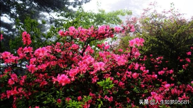 你去过哪些非常小众却又特别美的景点？插图70