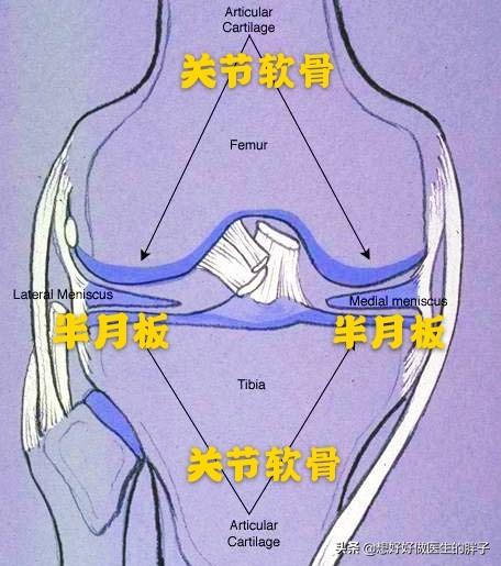 半月板损伤症状:半月板损伤是严重的病吗？