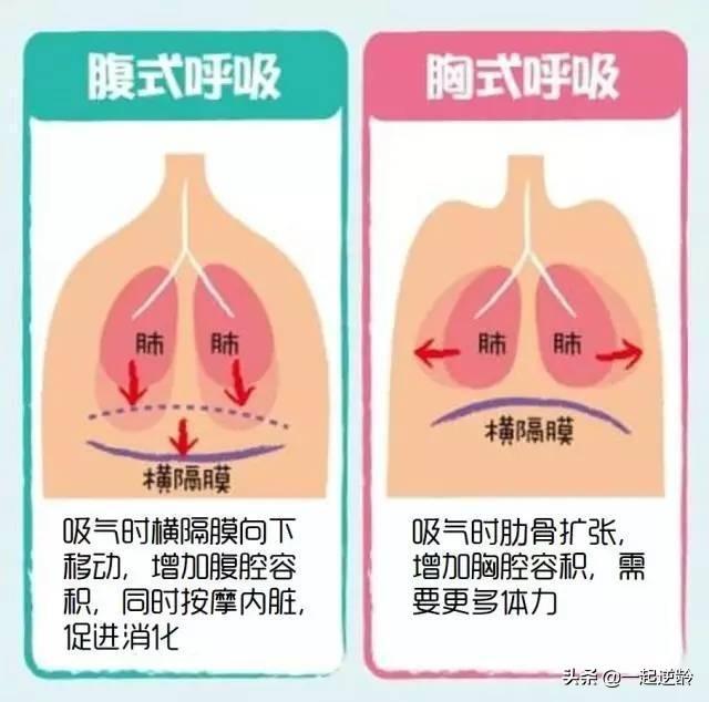 顺星有什么好处，考税务师有什么好处有好的就业前景吗