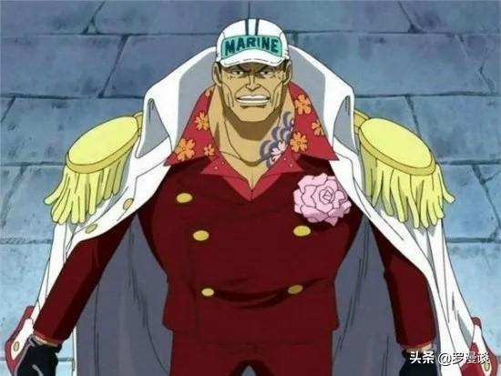 海贼王中钢骨空为什么会获得钢骨这个绰号难道他的骨头像钢一样硬
