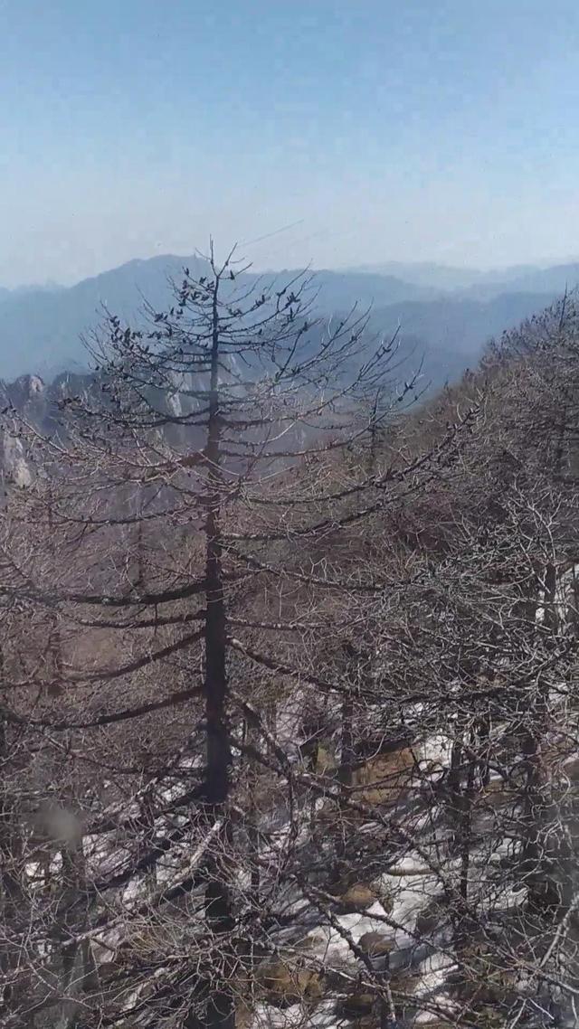 秦岭神秘传说，我想登秦岭主峰太白山，有何攻略