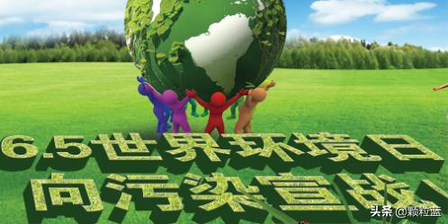 世界候鸟日的来历:世界环境日的由来50字？ 世界候鸟日图片大全