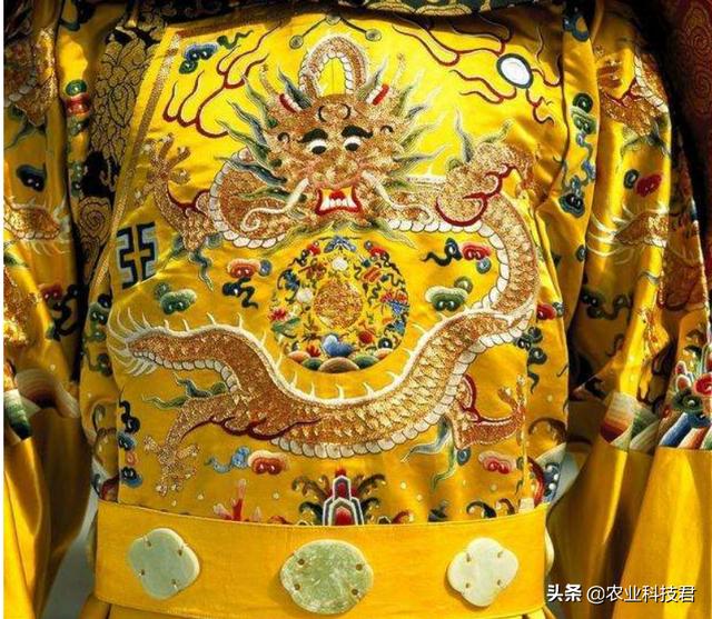 gucci狗年波士顿梗犬刺绣25:请说出你知道的一些奢侈品品牌？
