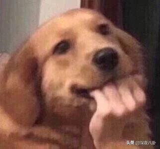 赵继伟宣布求婚成功:魏晨结婚了，他什么时候有的对象？