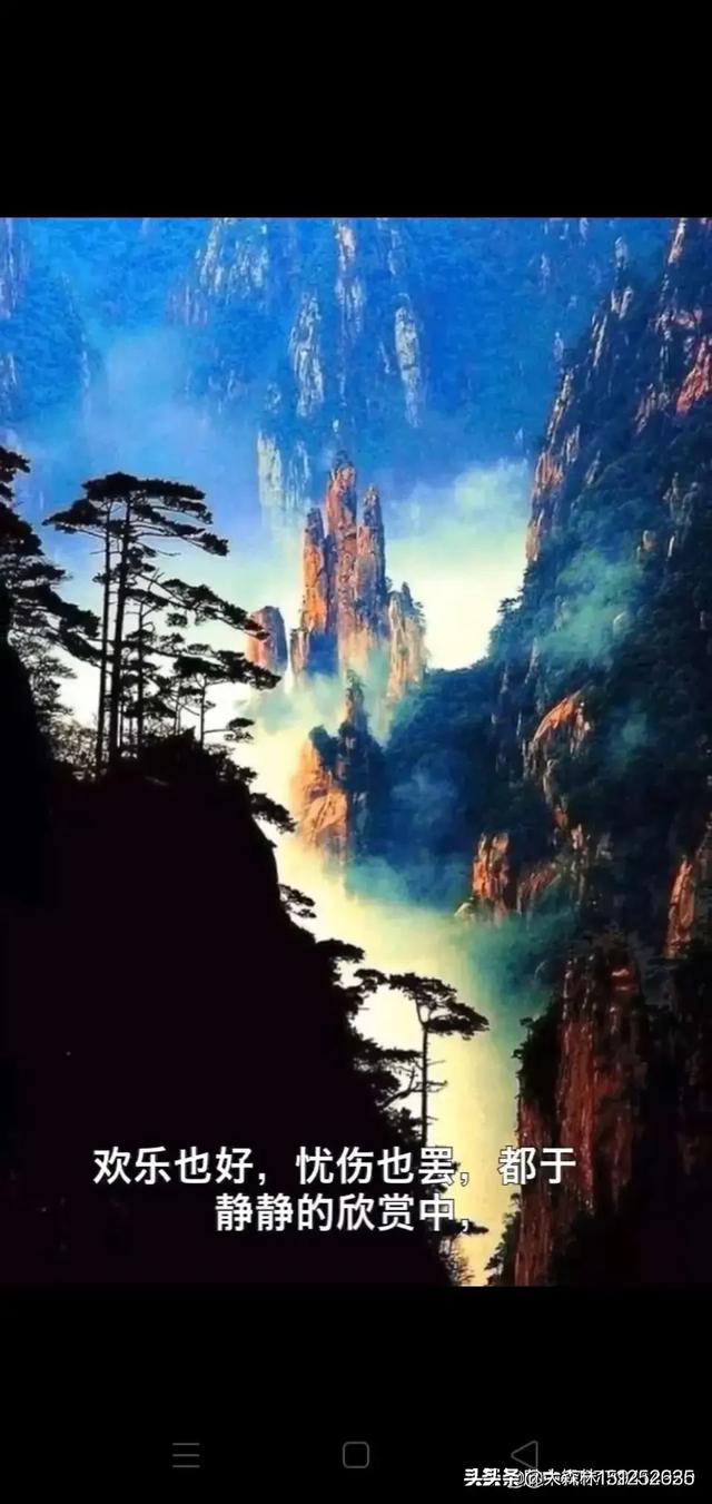 请大神看图赋诗一首？