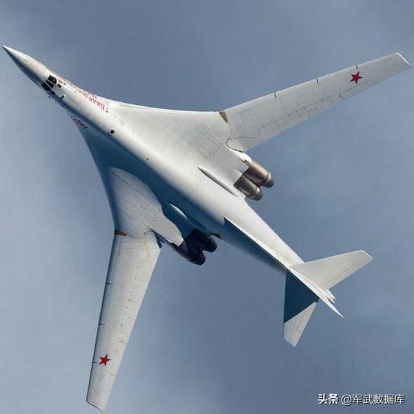 阿根廷巨鸟如同一架小型战斗机:“白天鹅”是徒有虚名吗，为啥能飞到3马赫？