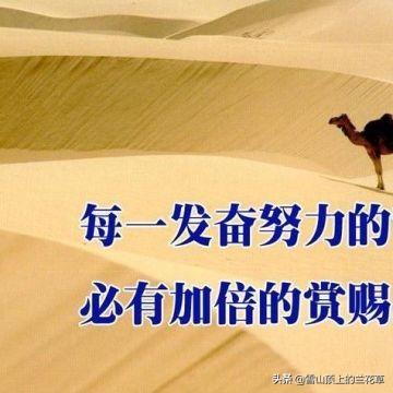 最适合穷人的创业项目:你们当地有哪些赚钱的做的好的适合创业的生意